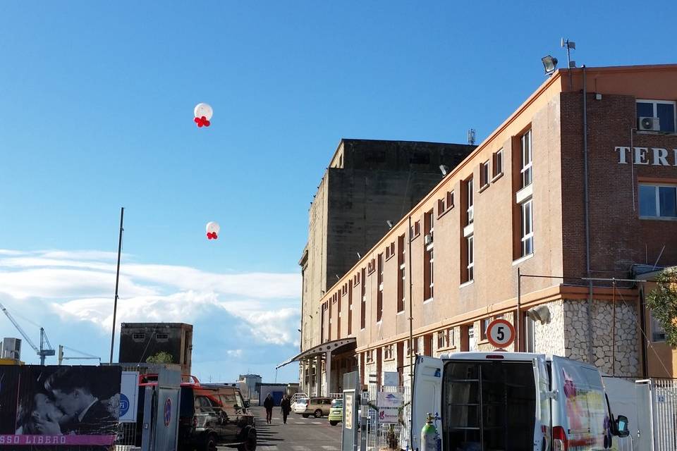 La Coccinella Fiorita Balloon