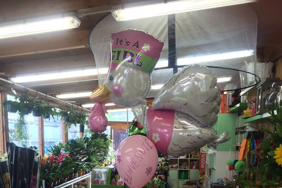 La Coccinella Fiorita Balloon