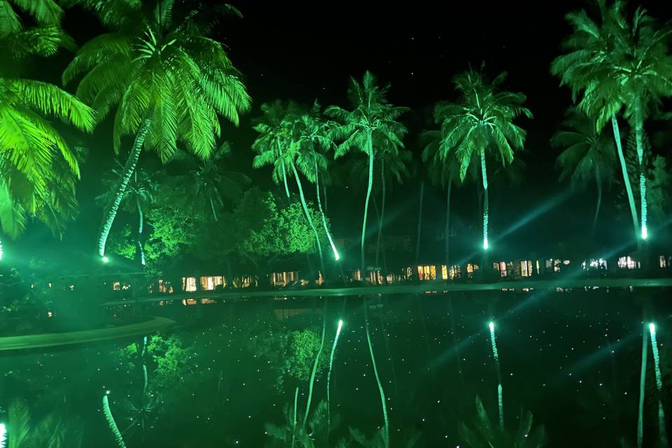 Maldive