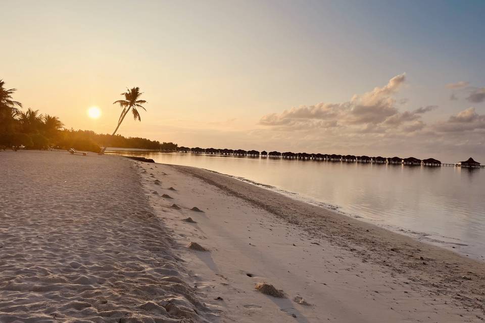 Maldive