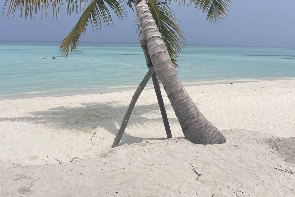 Maldive