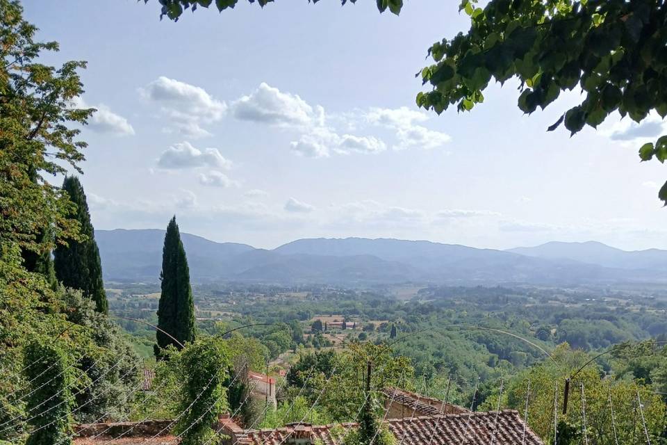 Wedding_tuscany_chianti