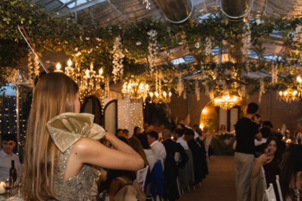 Weddingtuscany_violin show