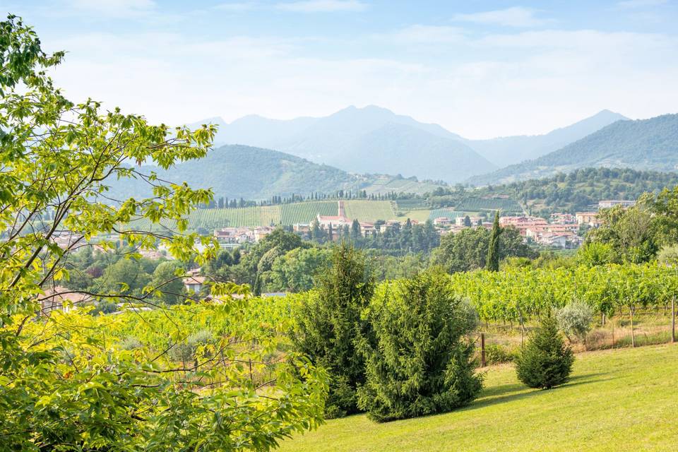 La Collina dei Sogni