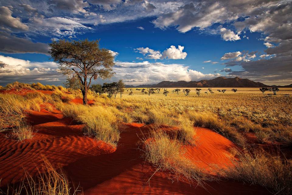 Deserta Namibia