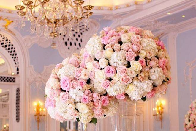 Angelina De Nigris Florist & Wedding Planner