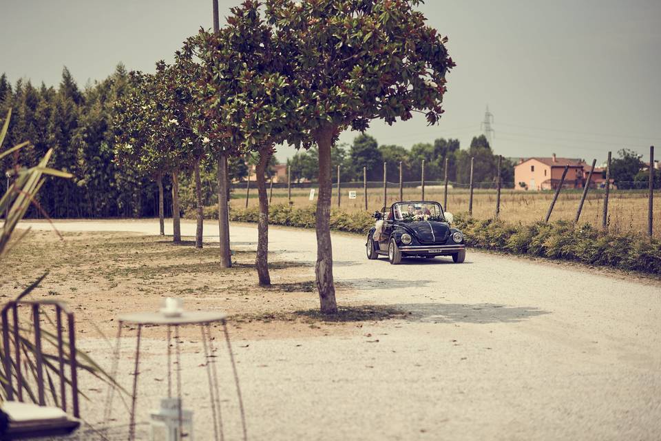 Arrivo Sposi