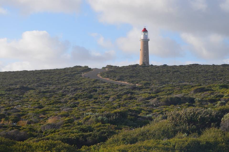 Kangaroo Island - Australia