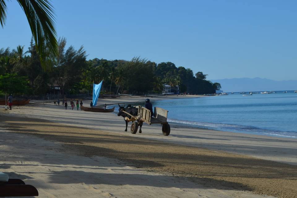 Nosy Be - Madagascar