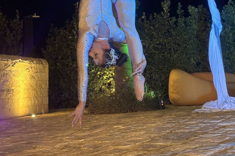 Luna aerea
