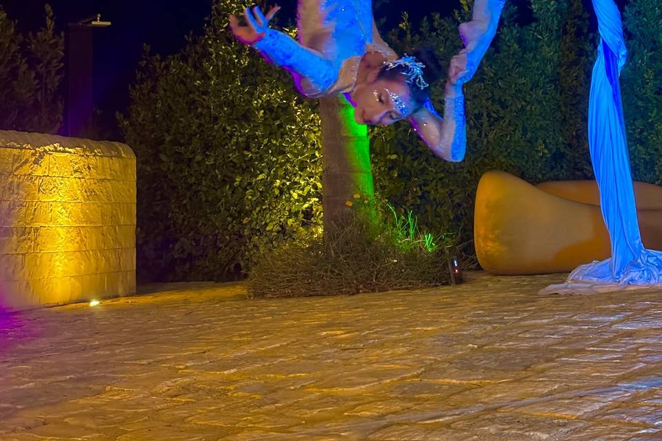 Luna aerea