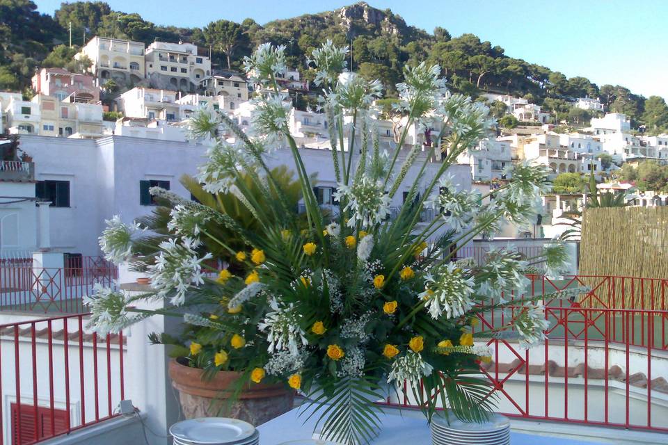 Roof Garden