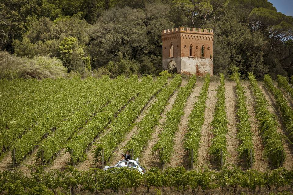 Sposi in vigna