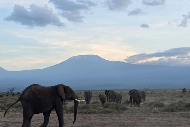 KENYA
