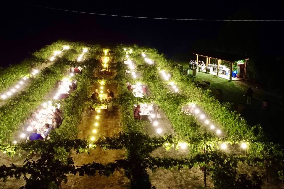 Cena in Vigna Dall'alto