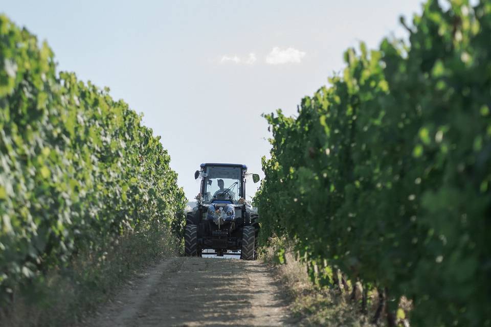 Arrivo della sposa in trattore