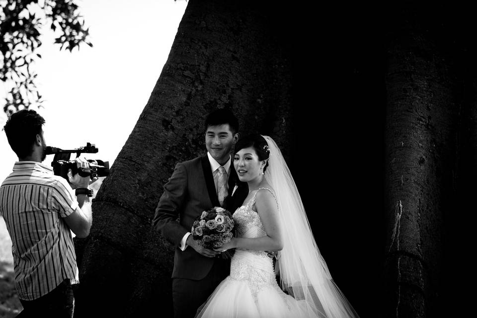 Matrimonio sydney