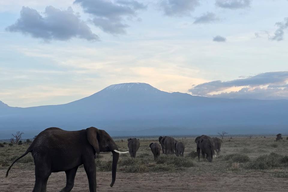 KENYA