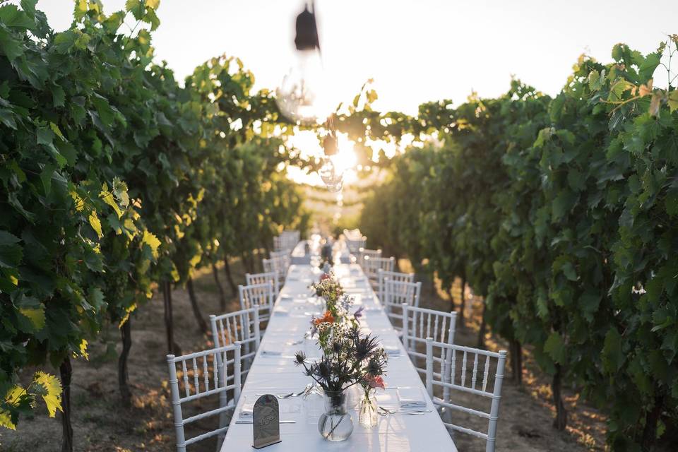 Matrimonio in vigna