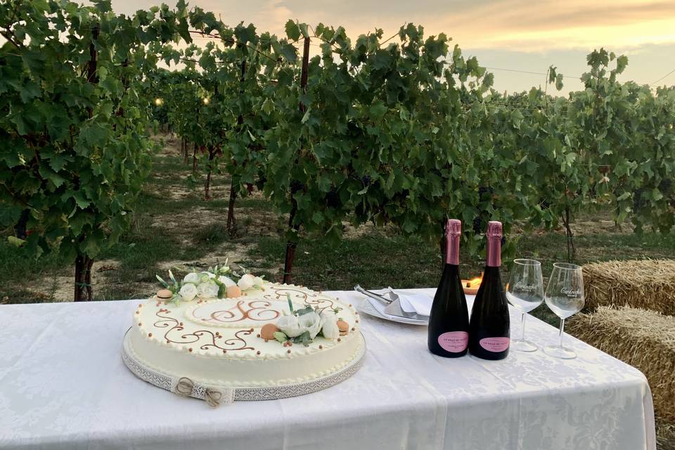 Torta nuziale in vigna