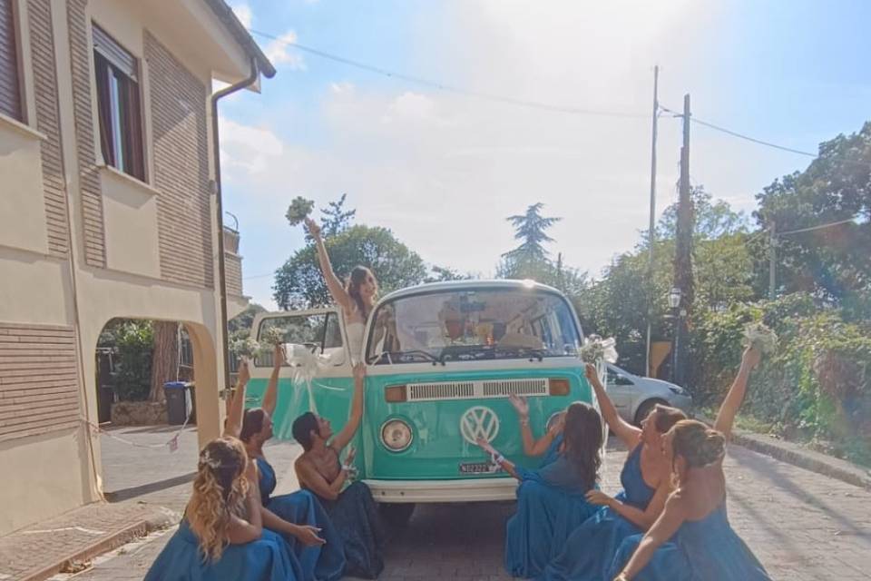 Damigelle