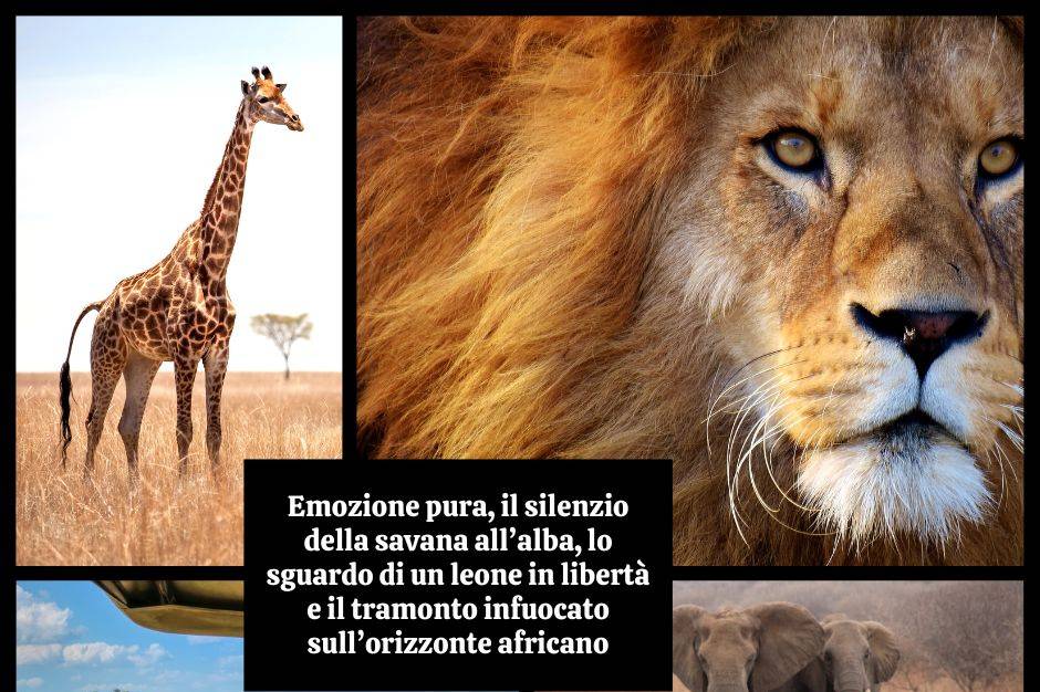 Avventura e magia