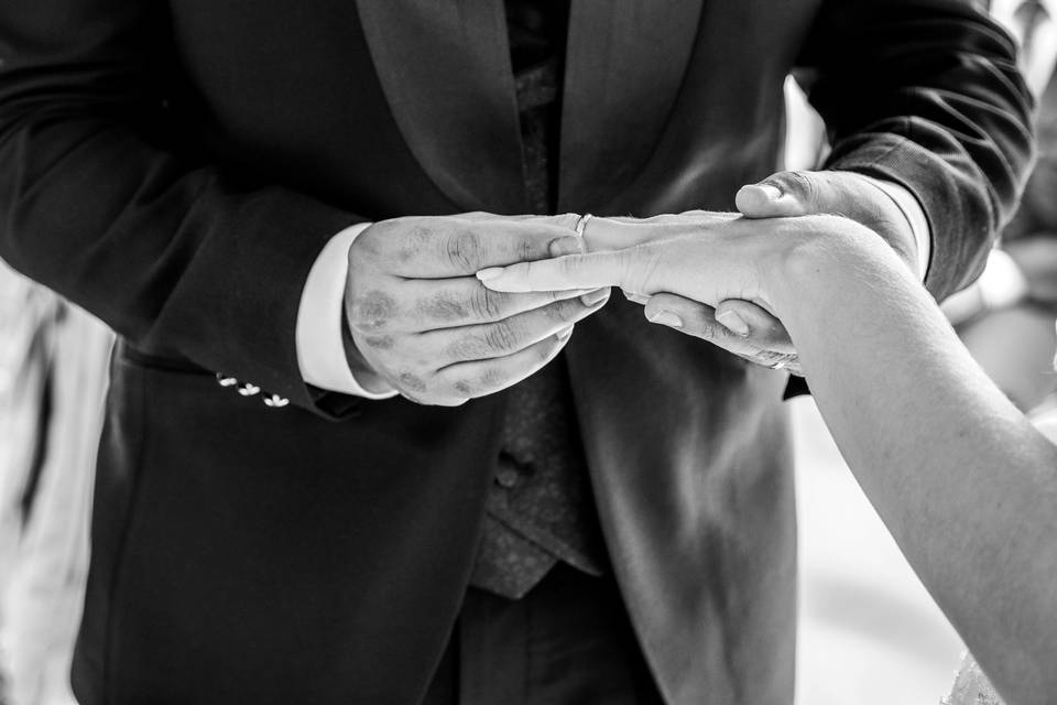 Barbara Rossi Photographer