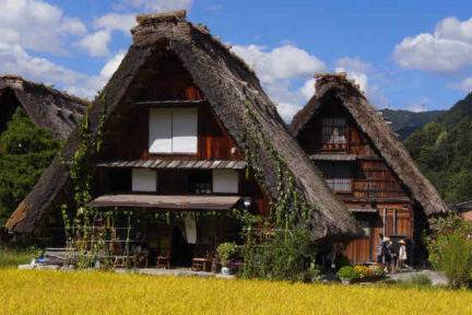 Shirakawago - The Net