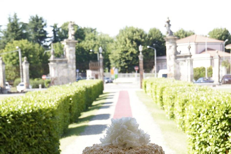 Lucadonatoweddings