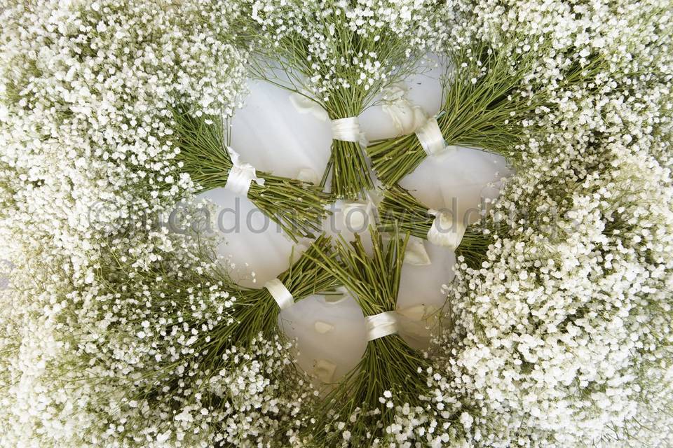 Lucadonatoweddings