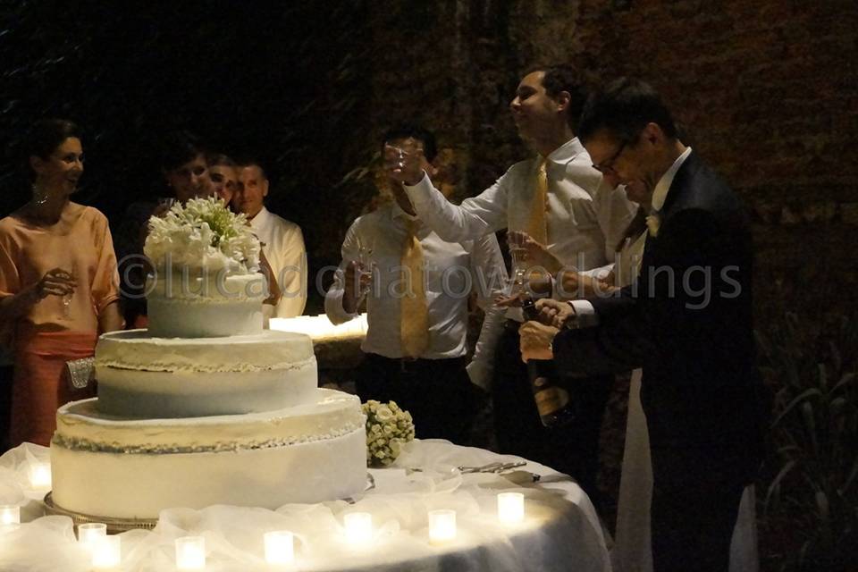 Lucadonatoweddings