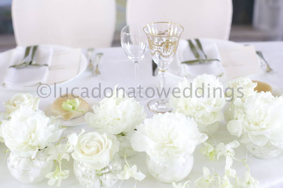 Lucadonatoweddings