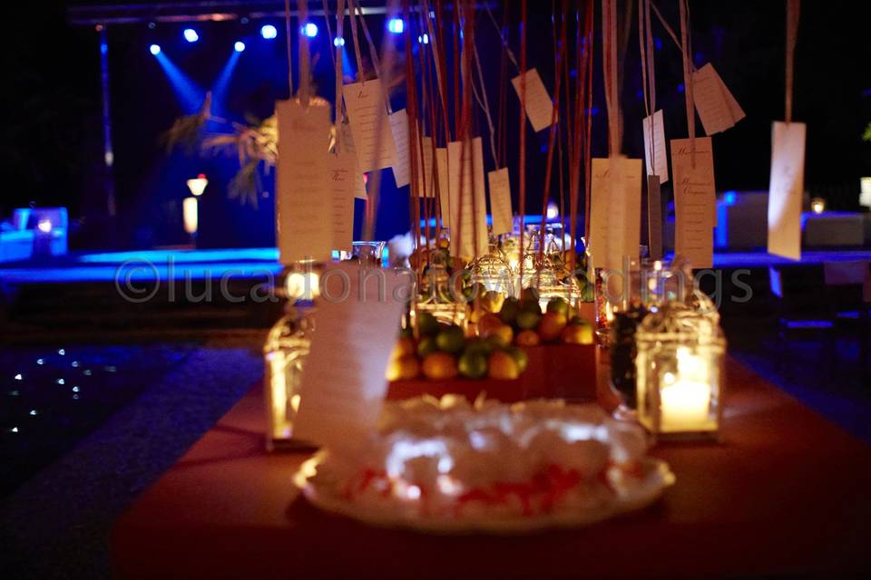 Lucadonatoweddings