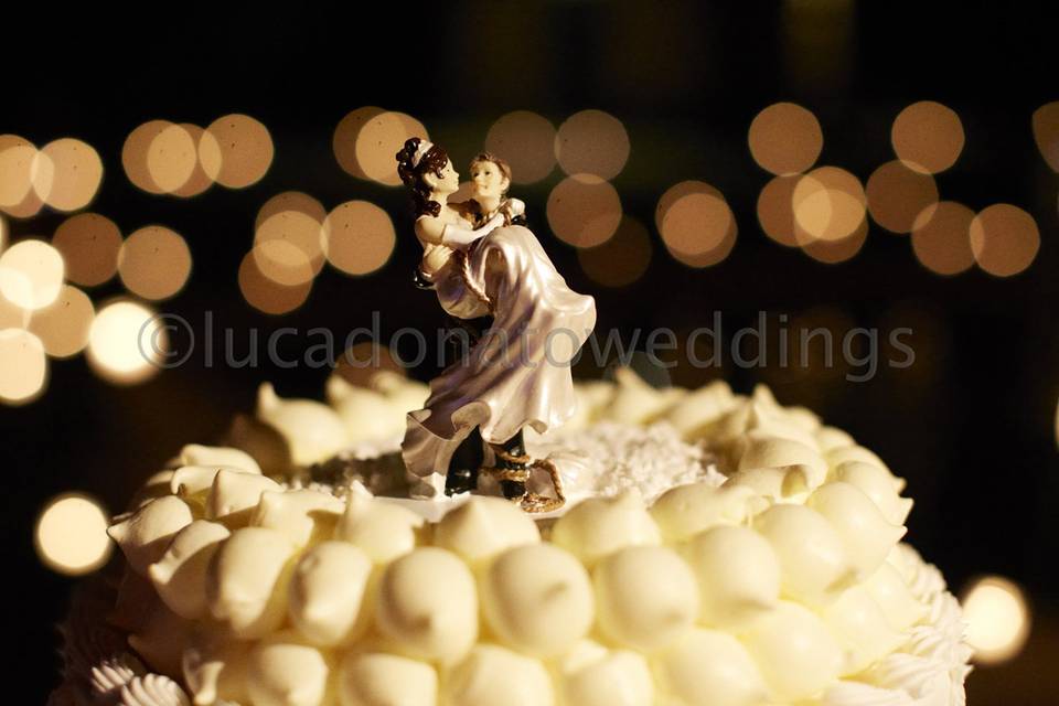Lucadonatoweddings