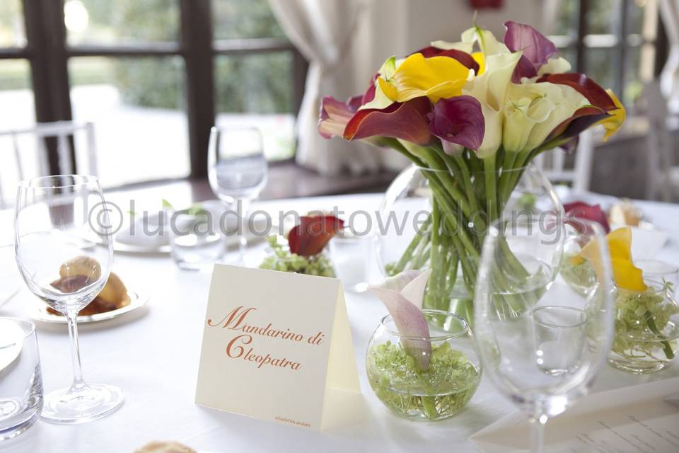 Lucadonatoweddings