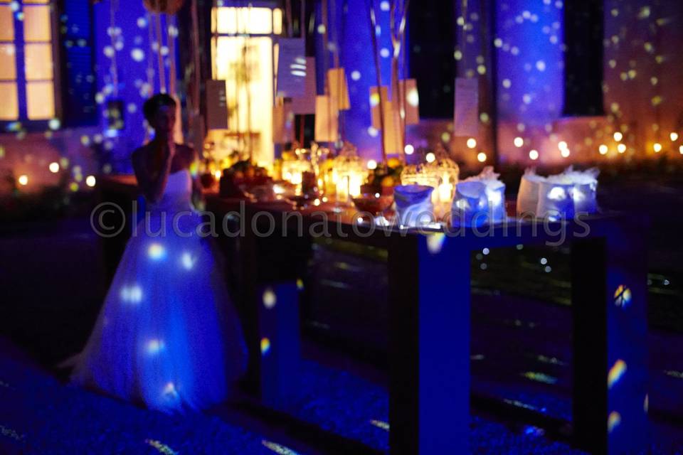 Lucadonatoweddings