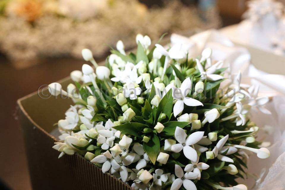 Lucadonatoweddings