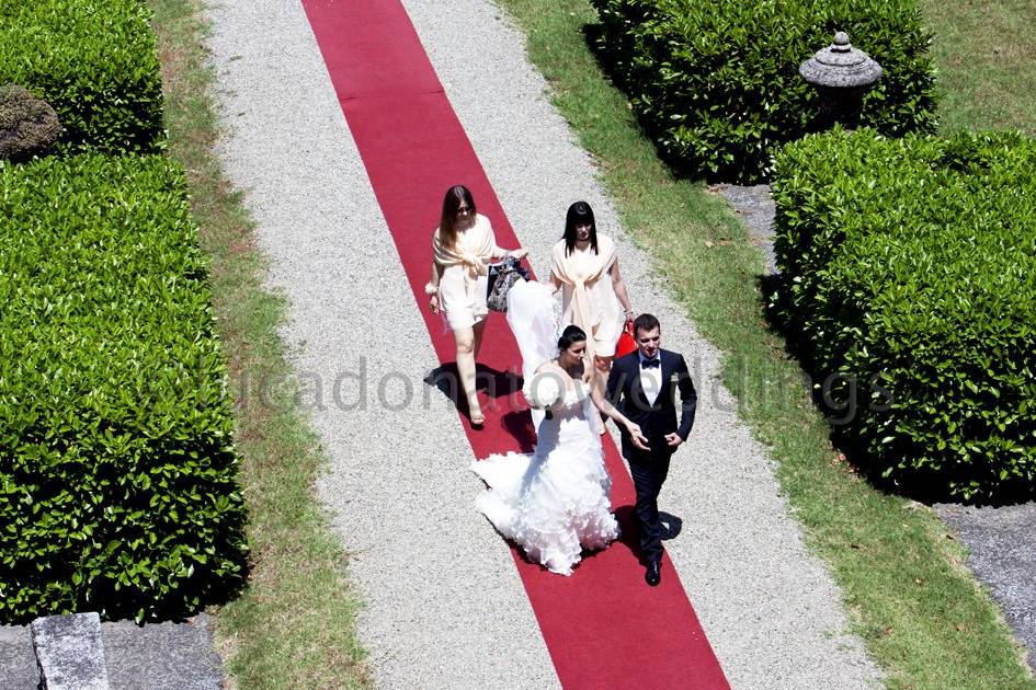 Lucadonatoweddings