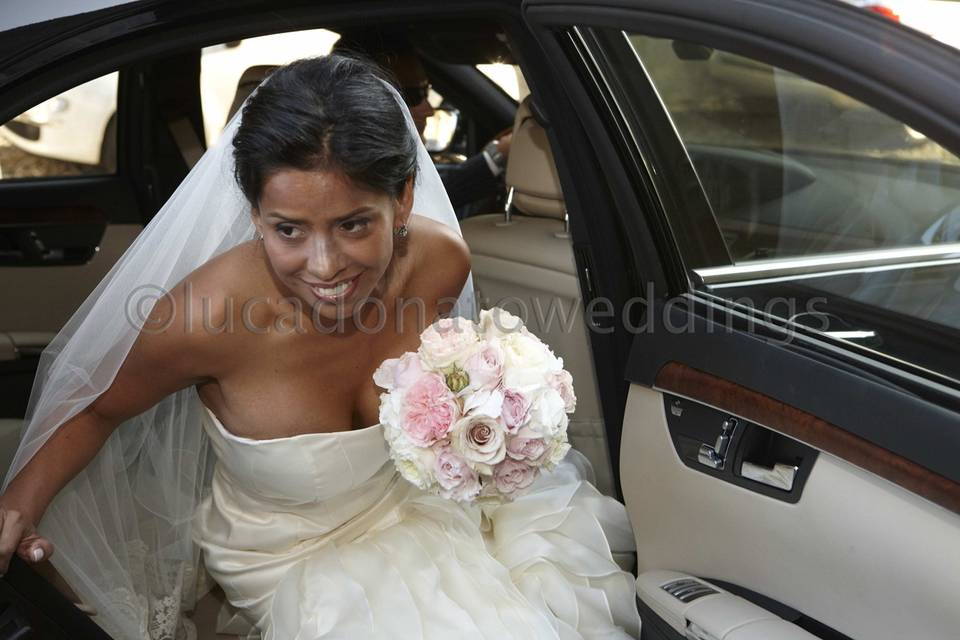 Lucadonatoweddings