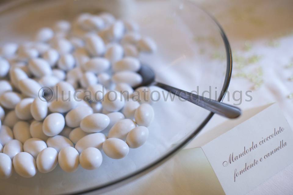 Lucadonatoweddings