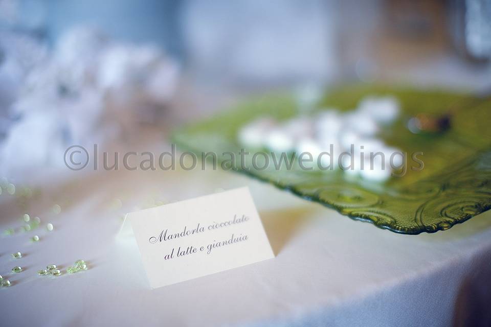 Lucadonatoweddings