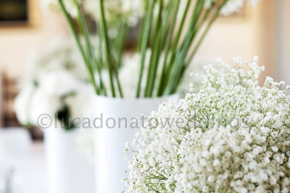 Lucadonatoweddings