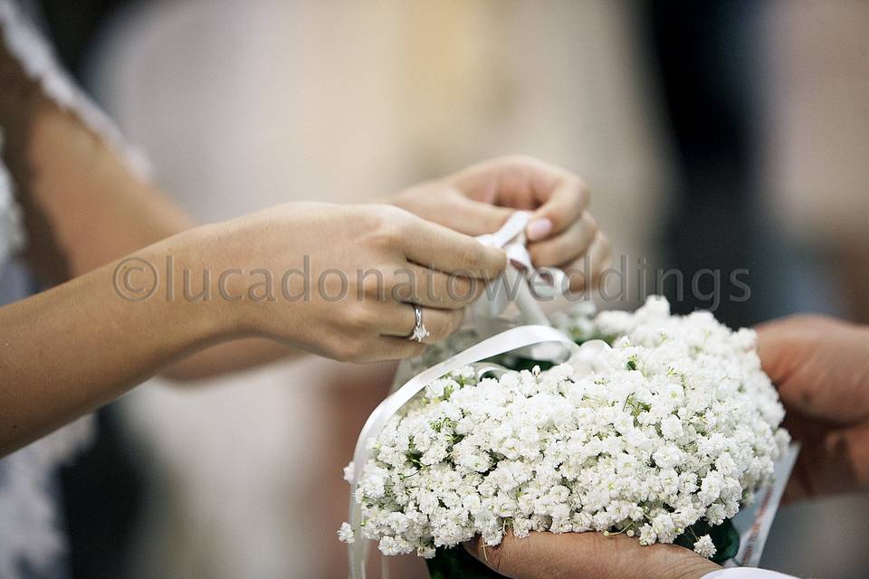 Lucadonatoweddings