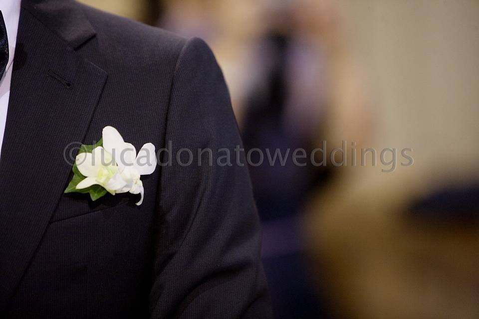 Lucadonatoweddings