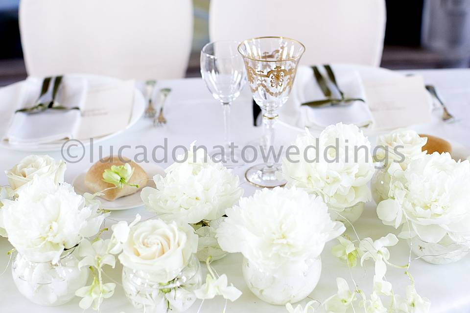 Lucadonatoweddings