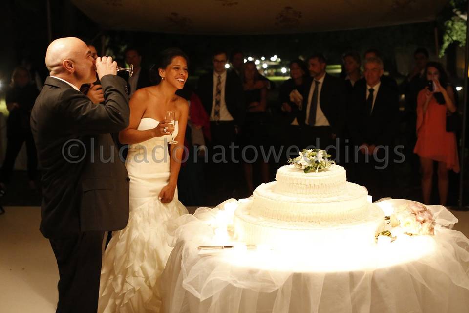 Lucadonatoweddings