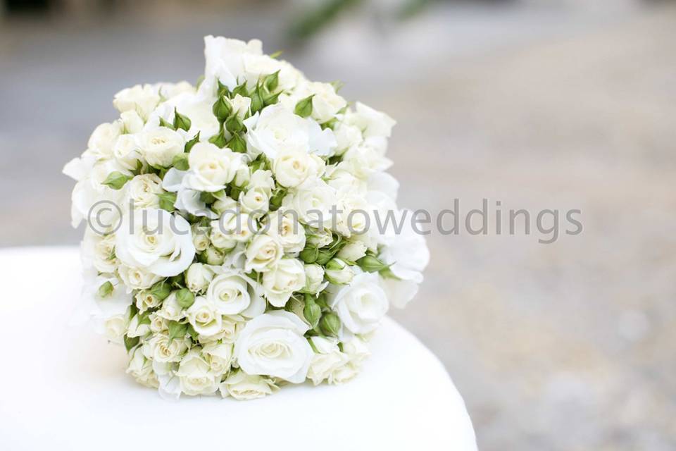Lucadonatoweddings