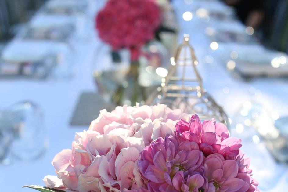 Lucadonatoweddings