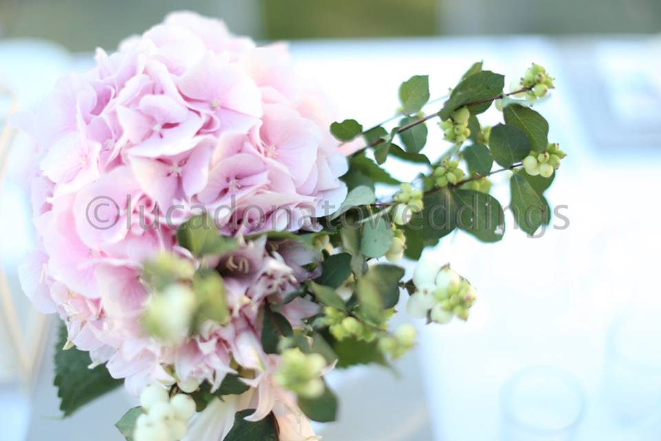 Lucadonatoweddings