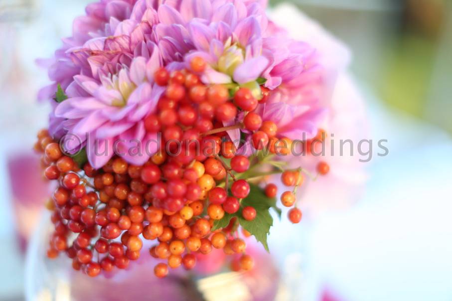 Lucadonatoweddings